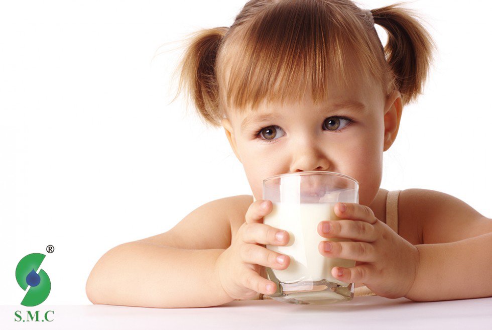 sout-machine-dairy-production