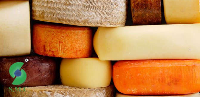 sout-machine-hard-cheese-processing-equipment