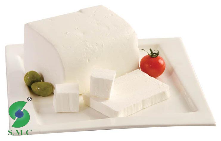 sout-machine-uf-cheese-processing-equipment