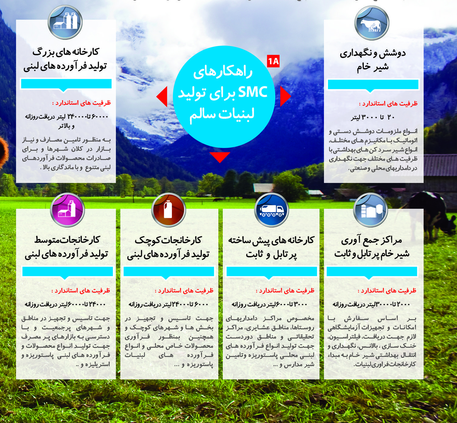 سوت ماشین